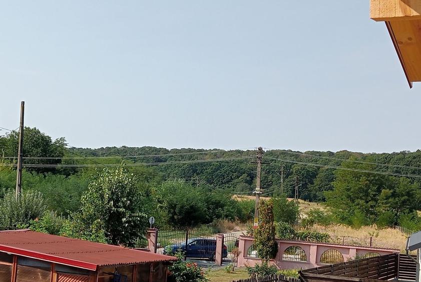 Casă cu 3 camere în Radu Negru