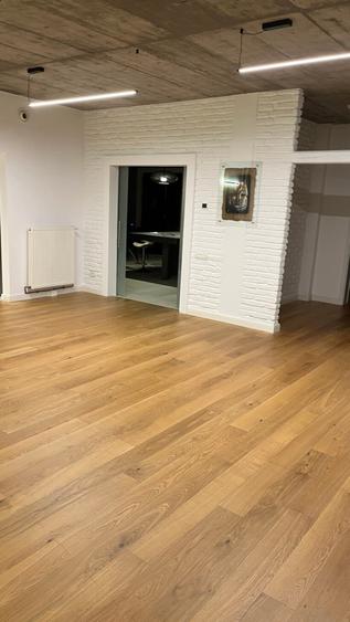 Casă individuală cu 7 camere cu Piscina în Iancu Nicolae