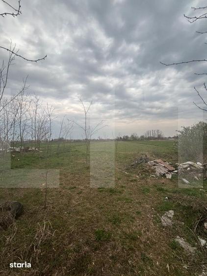 Casă cu 4 camere cu Teren 3400 Mp în Iratoșu