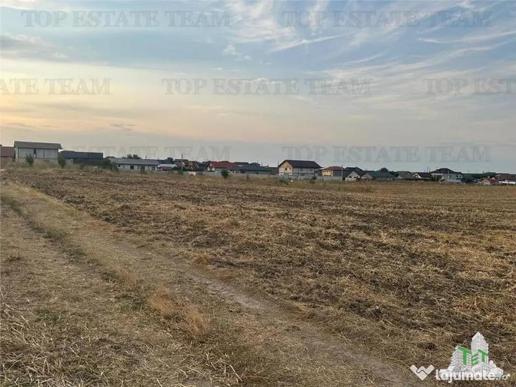 Teren de 2500 mp, în Bălăceanca