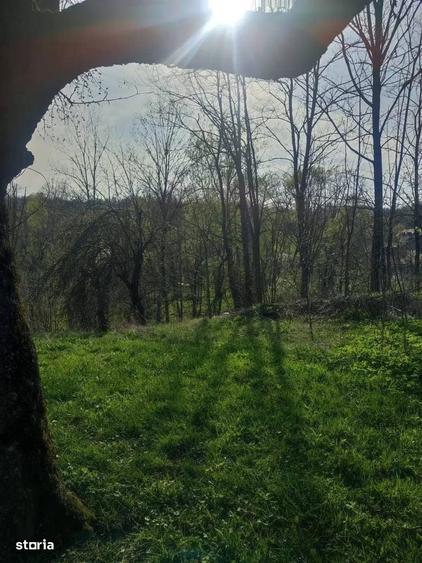 Spațiu comercial, în Provița de Jos