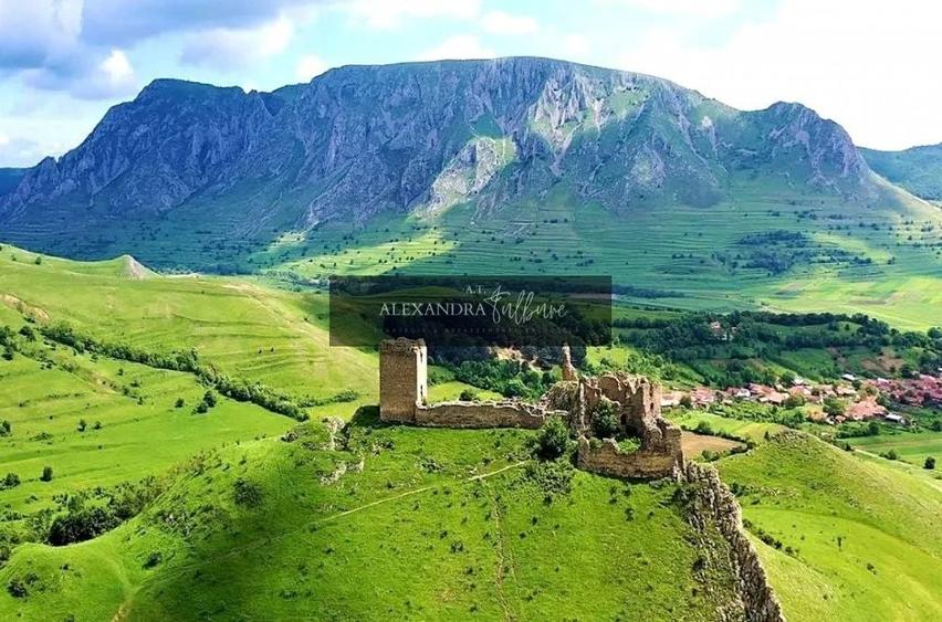 Teren agricol extravilan de 9000 mp, în Rimetea