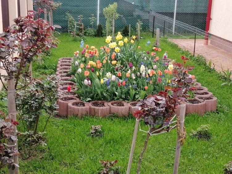 Casă cu Teren 700 Mp în Sânandrei