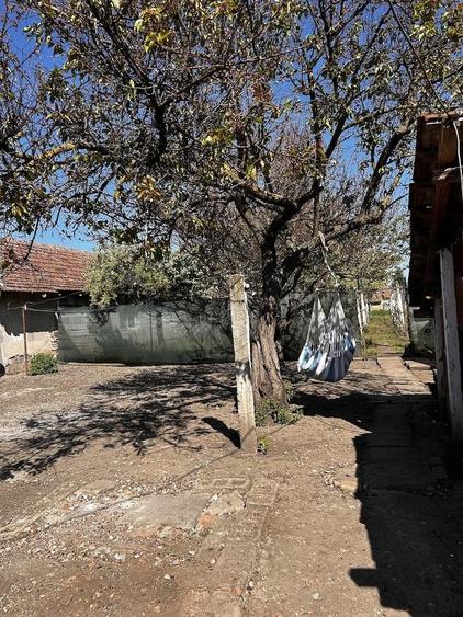 Casă cu 3 camere cu Teren 1440 Mp în Iratoșu