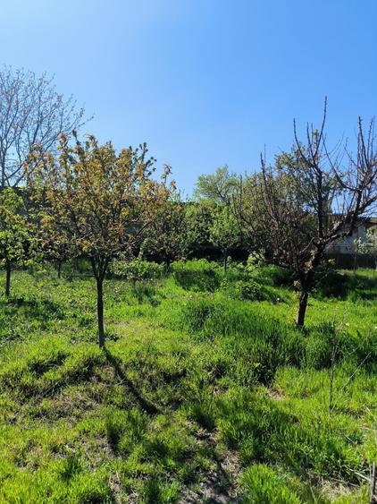Casă cu 2 camere în Apahida