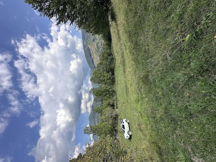 Teren de 5900 mp, în Trăisteni