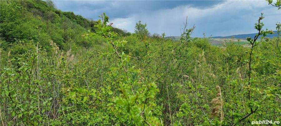 Teren de 2200 mp, în Bărdești