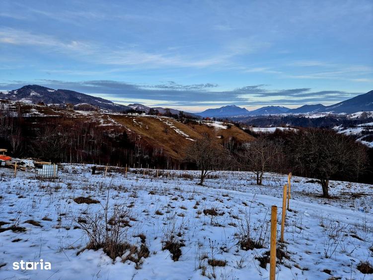 Sat Pe?tera Moeciu | Vedere panoramica Bucegi & Piatra Craiului - 10