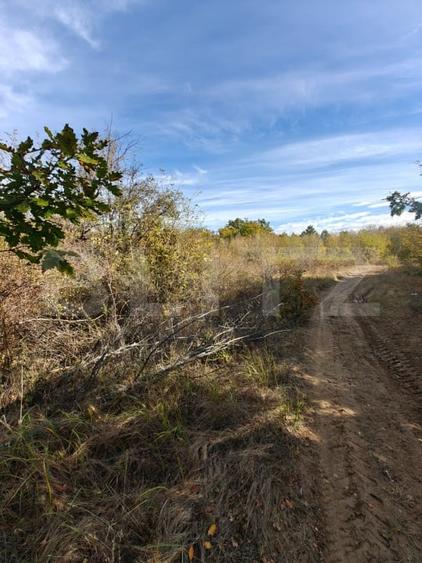 Teren Construcții intravilan de 5000 mp, în Băbana
