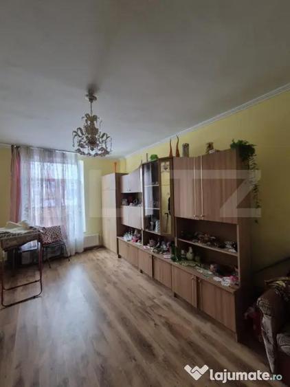 Apartament cu 2 camere nedecomandat în Mureșeni