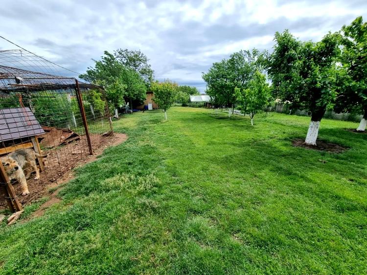 Casă individuală cu 5 camere cu Teren 1719 Mp în Micești