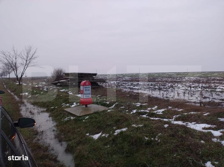 Teren intravilan Mischii DN 65C, 17000 mp, toate utilitatile - 2