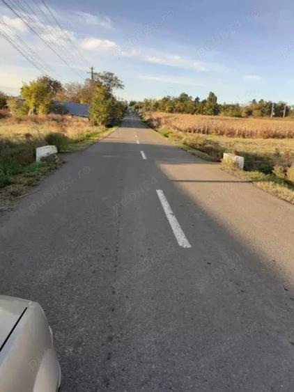 Teren în Brăești