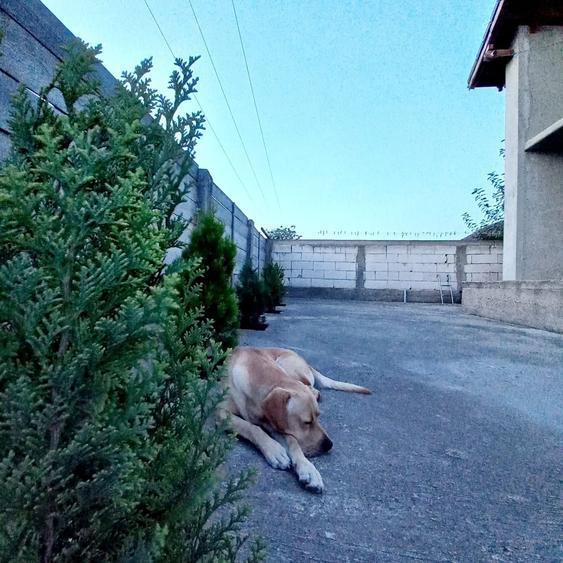 Casă cu 4 camere în Satu Nou