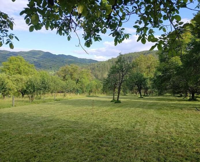 Teren de 1371 mp, în Prahuda