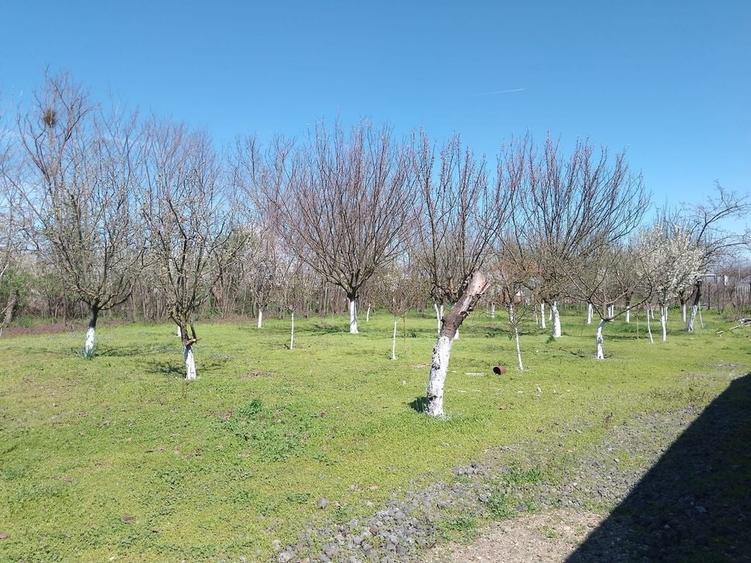 Casă cu 4 camere în Valea Stânii