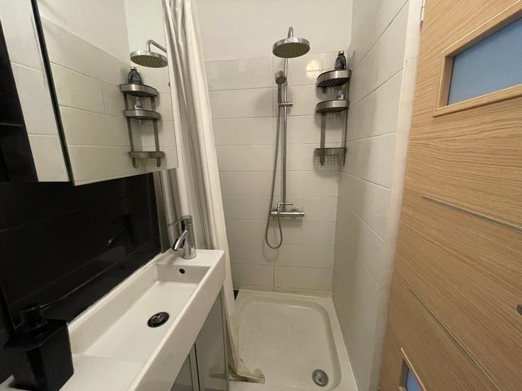 Apartament Ion Campineanu // Cismigiu - 11