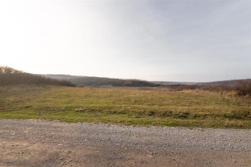 Teren Construcții intravilan de 6895 mp, în Uileacu de Munte