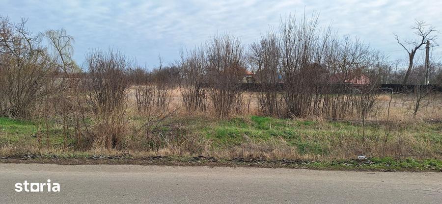 Teren de 2433 mp, în Blejești