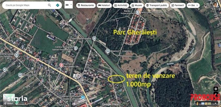 Gheraiesti - str. Arinilor - 1.000mp - 4