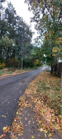 Casă cu 7 camere cu Teren 950 Mp în Săftica