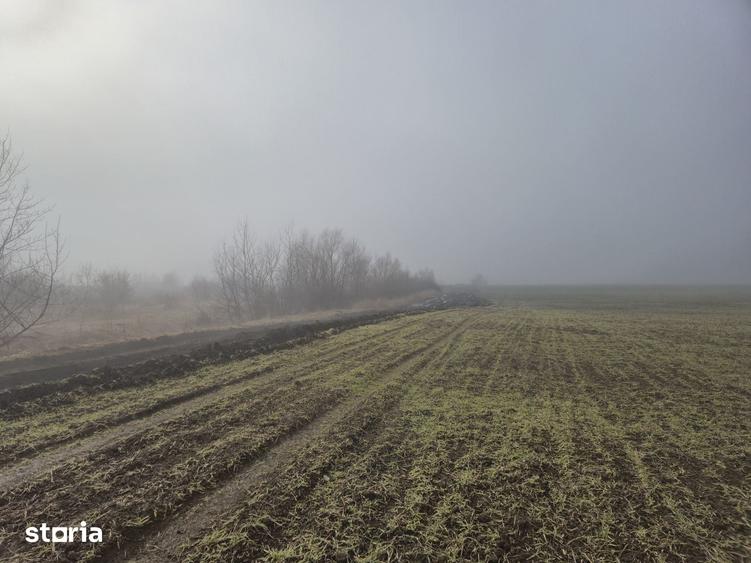 Teren 3.000 mp cu autoriza?ie hala Holboca, Ia?i | Rate - 5
