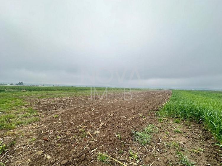 Teren agricol extravilan de 2710 mp, în Gura Râului