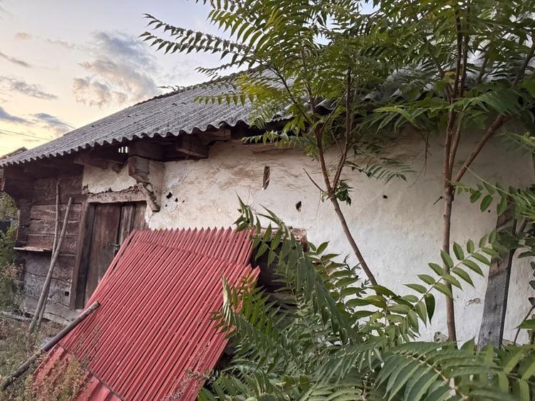 Casa de lemn batraneasca - 3
