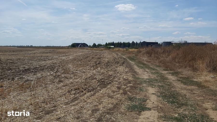 Teren de 280000 mp, în Balotești