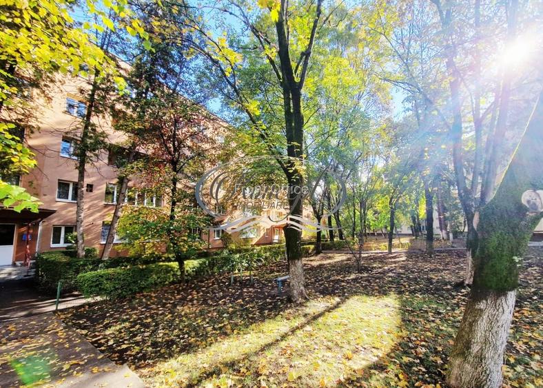 Apartament 2 camere, zona Septimiu Albini