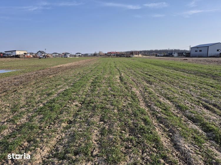Teren de 4999 mp, în Tărtășești