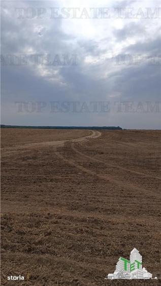 Teren de 81906 mp, în Petrăchioaia