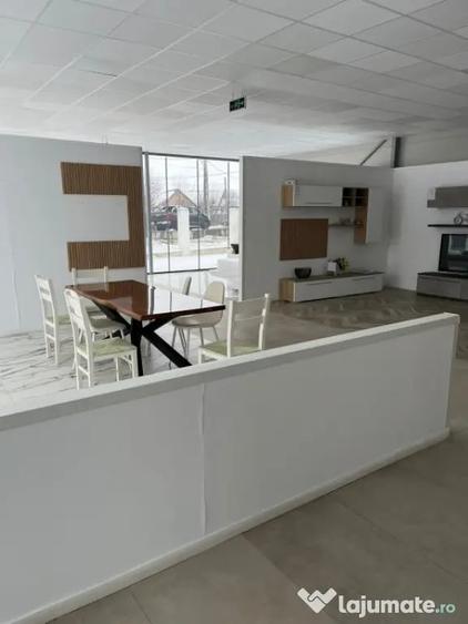 Spațiu comercial, de 460 mp, în Giubega