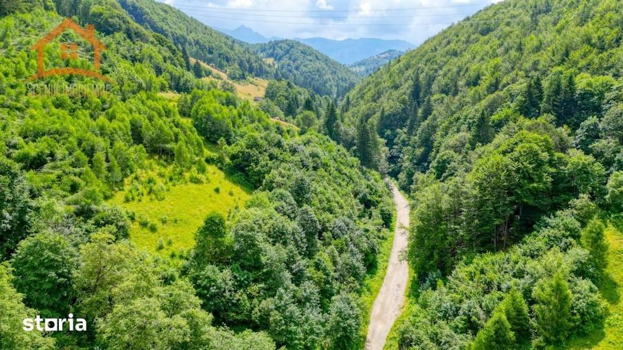 Investitie Smart in Moieciu, 3.1 ha, Panorama 360 Bucegi - Piatra Crai - 5