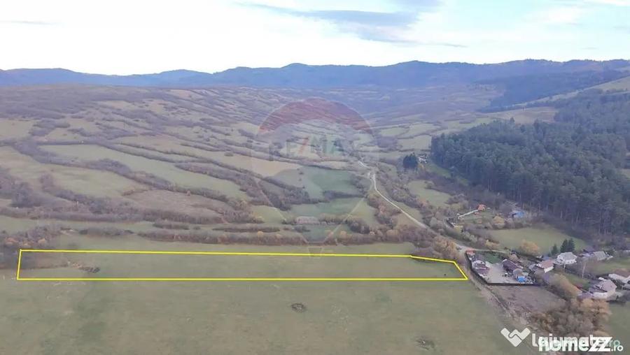 Teren de 5800 mp, în Purcăreni