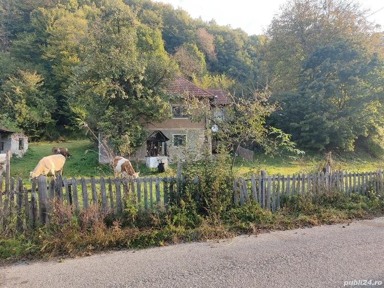 Casă cu 4 camere cu Teren 7000 Mp în Almașu Mare