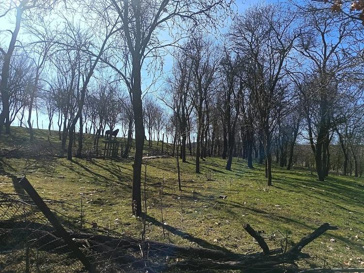 Casă cu Teren 1565 Mp în Sângătin