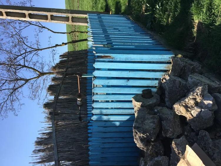 Casă cu 5 camere în Viișoara