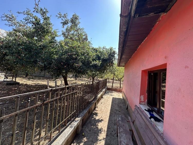 Casă individuală cu 4 camere cu Teren 1594 Mp în Steic
