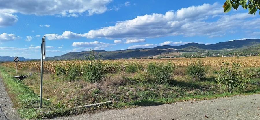 Teren de 14000 mp, în Coplean