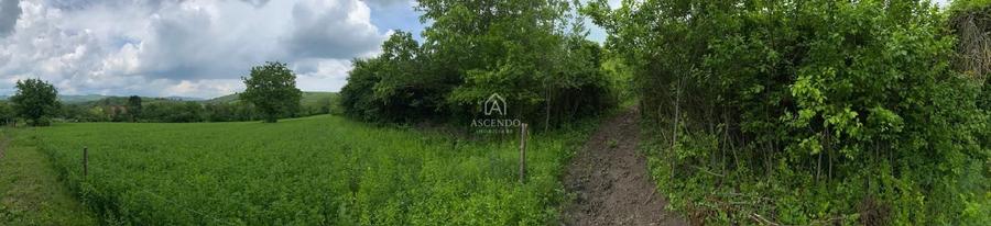 Teren Construcții intravilan de 15900 mp, în Fințești