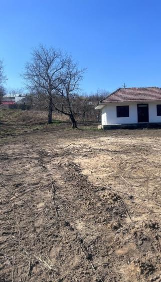 Casă cu 3 camere în Crețești