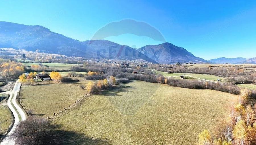Teren de 12615 mp, în Tohănița