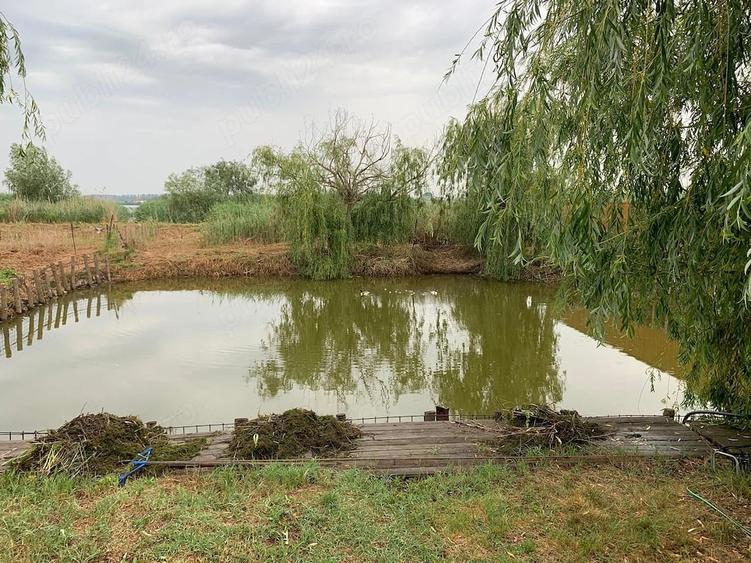 Casă cu Teren 2360 Mp în Central