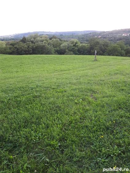 Teren de 4039 mp, în Borhanci