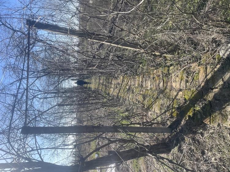 Casă cu Teren 1250 Mp în Central