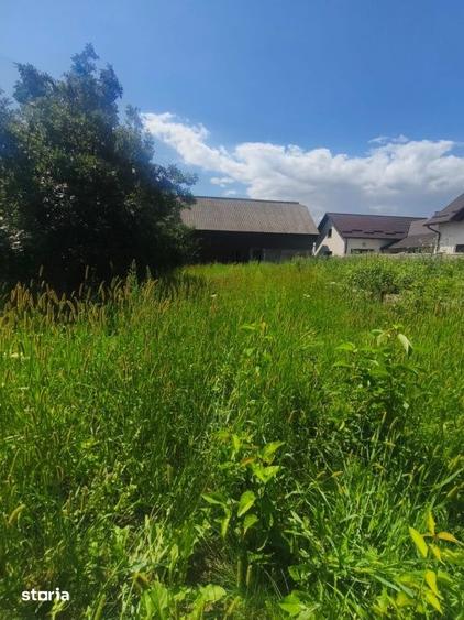Teren de 10000 mp, în Frătăuții Vechi
