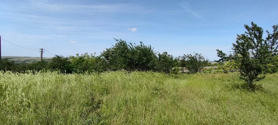 Teren de 925 mp, în Berceni