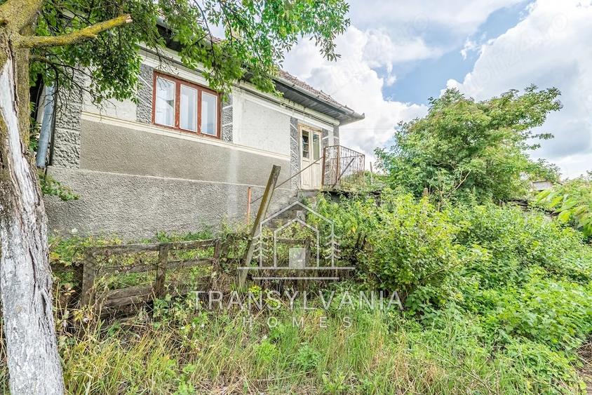 Casă cu Teren 2560 Mp în Sâmboleni