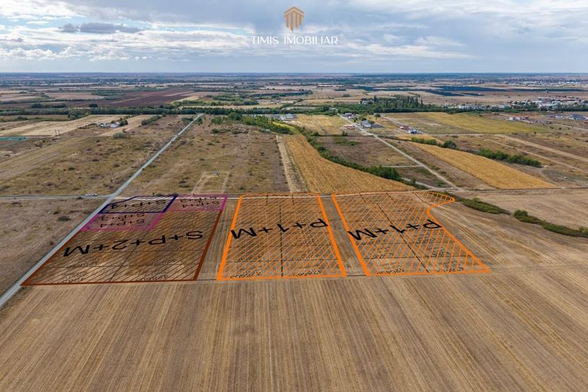 Teren Construcții intravilan de 1569 mp, în Moșnița Nouă
